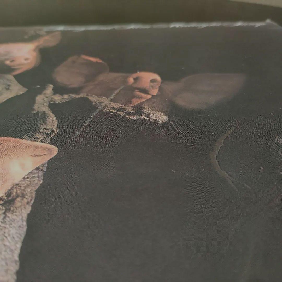 SUNNYLAND SLIM　サニーランド・スリム　MIDNIGHT 〜