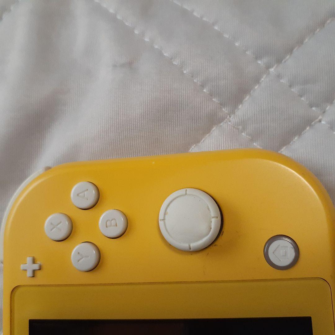 ジャンク！Nintendo Switch Lite