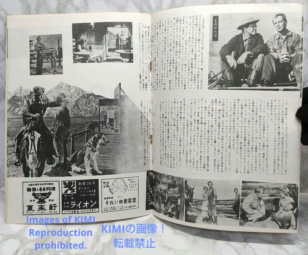 レア 映画パンフレット シェーン Shane 1953年 昭和28年 ジョージ