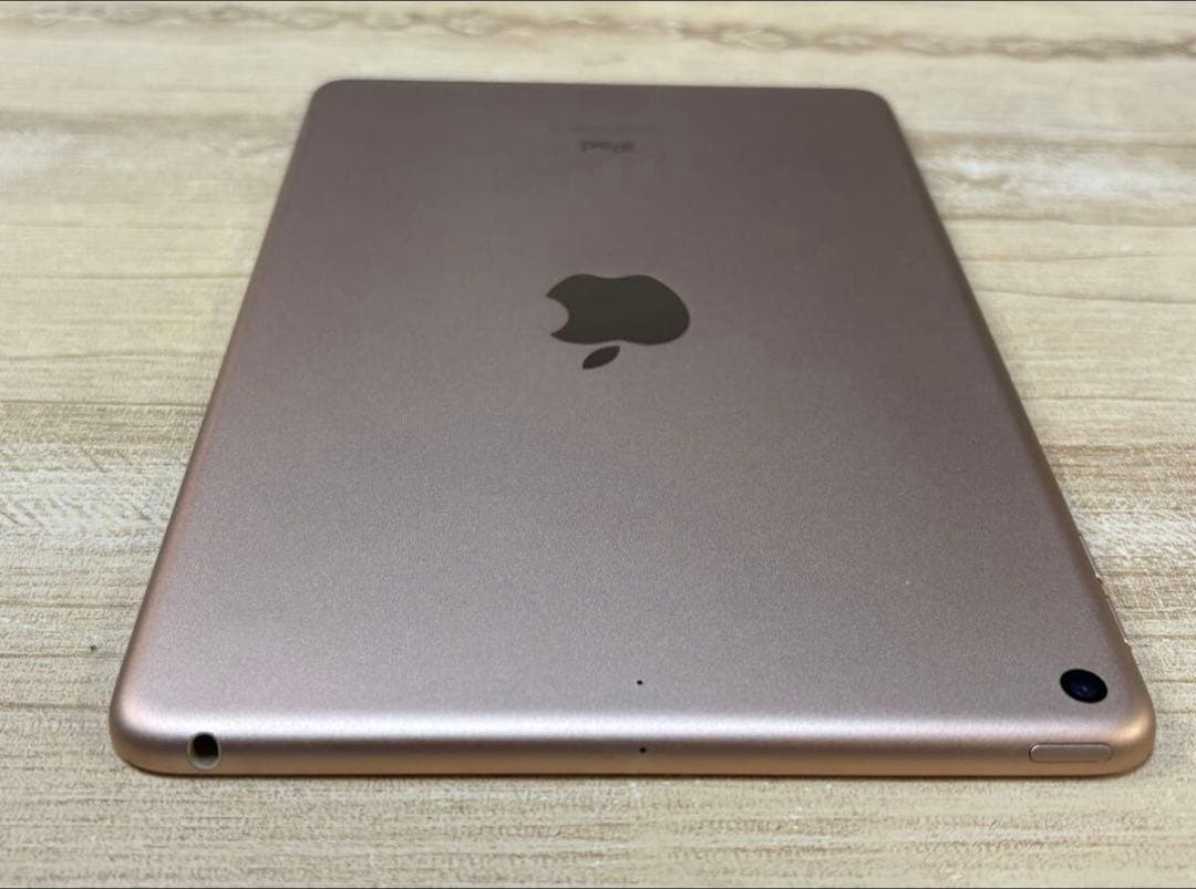 iPad mini (第5世代) Wi-Fiモデル 256GB