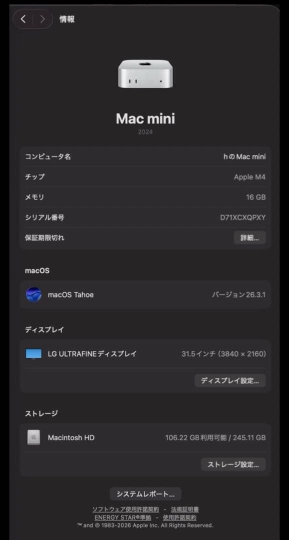Apple Mac mini M4 チップ メモリ16GB 容量256GB